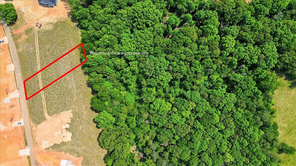 0 Parrs Farm Road Chesnee, SC 29323 - Photo 1 of 26