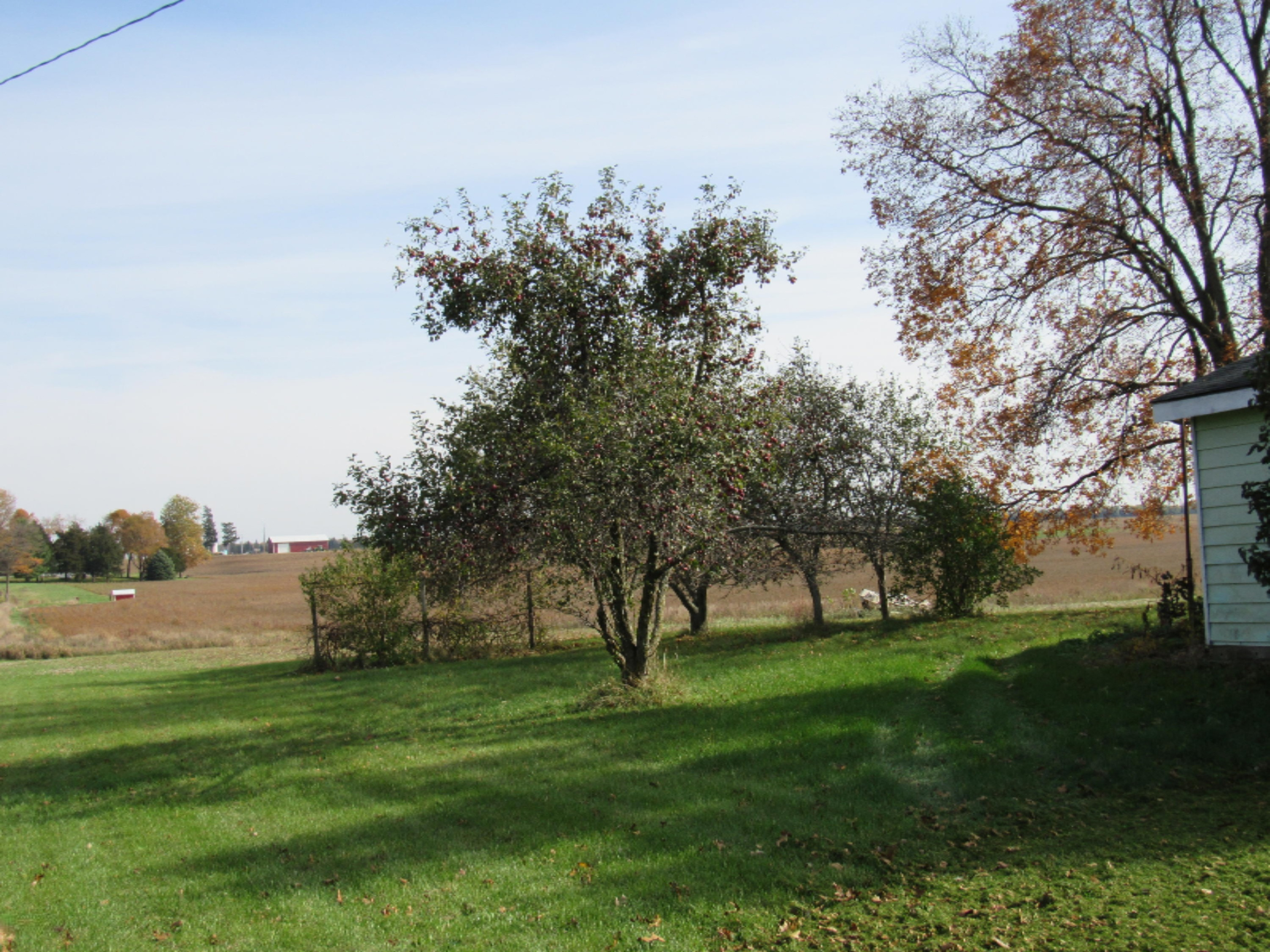 55035 Walterspaugh Road Mendon, MI 49072 - Photo 6 of 6 IMG_6787