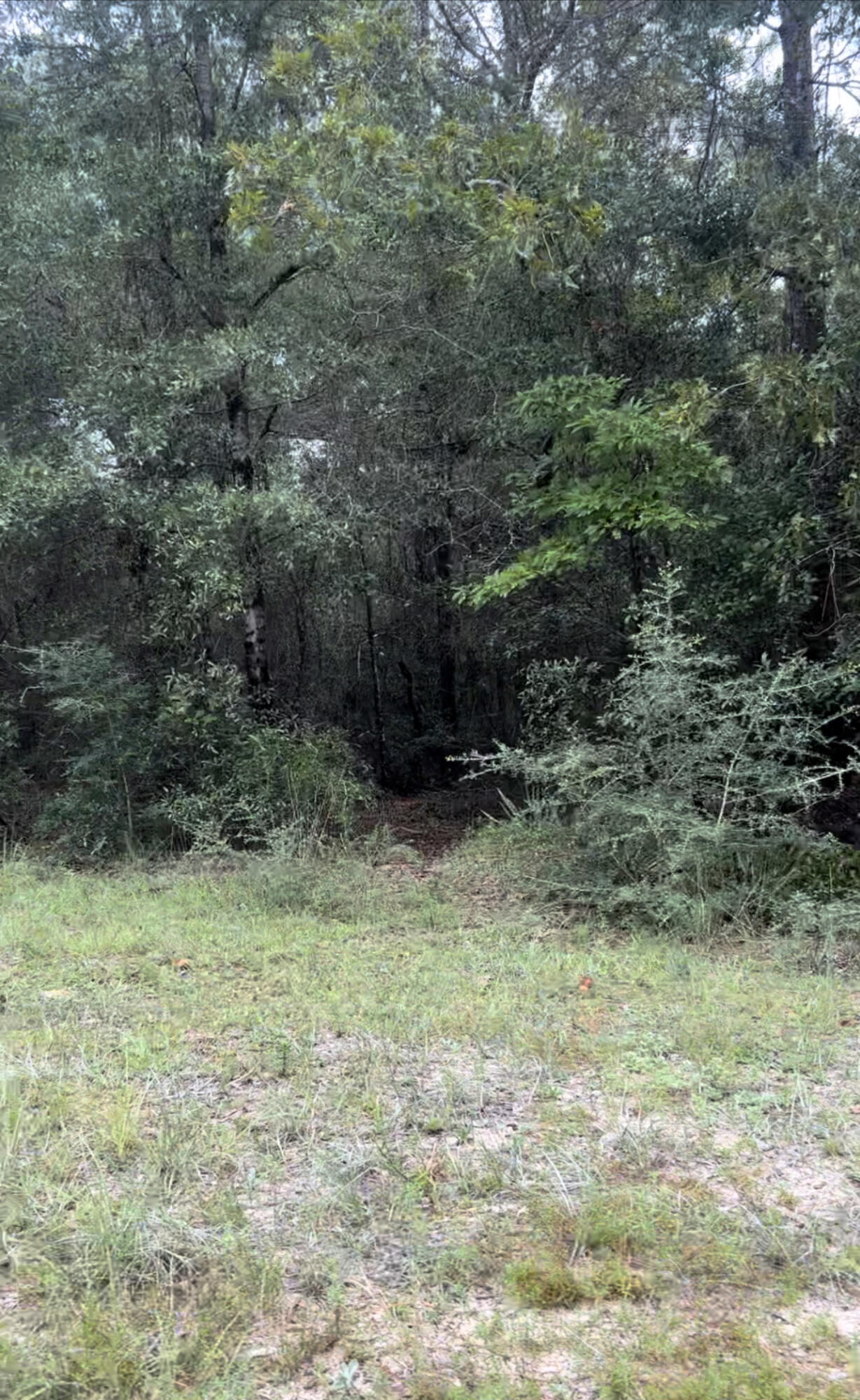 Tbd Lot C Ridgecrest Road Crestview, FL 32539 - Photo 4 of 5 a view of outdoor space and yard
