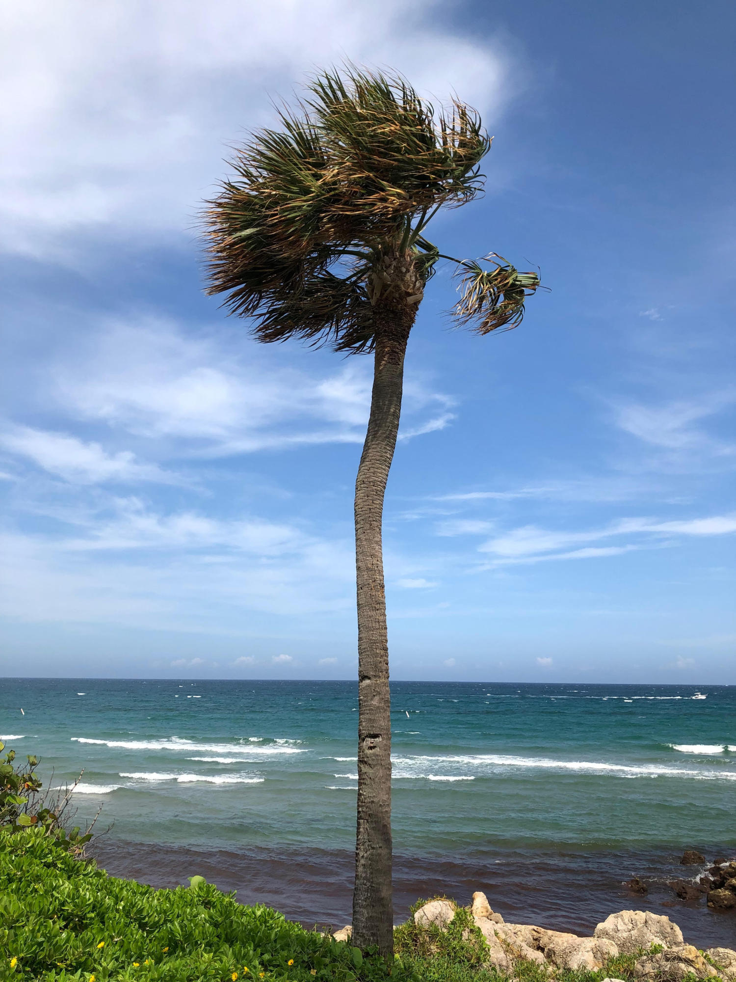 1631 Riverview Road, Unit 306 Deerfield Beach, FL 33441 - Photo 47 of 56 DFB