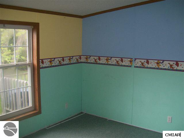 11475 East Valley Road Mount Pleasant, MI 48858 - Photo 7 of 8 1767462-6.JPG