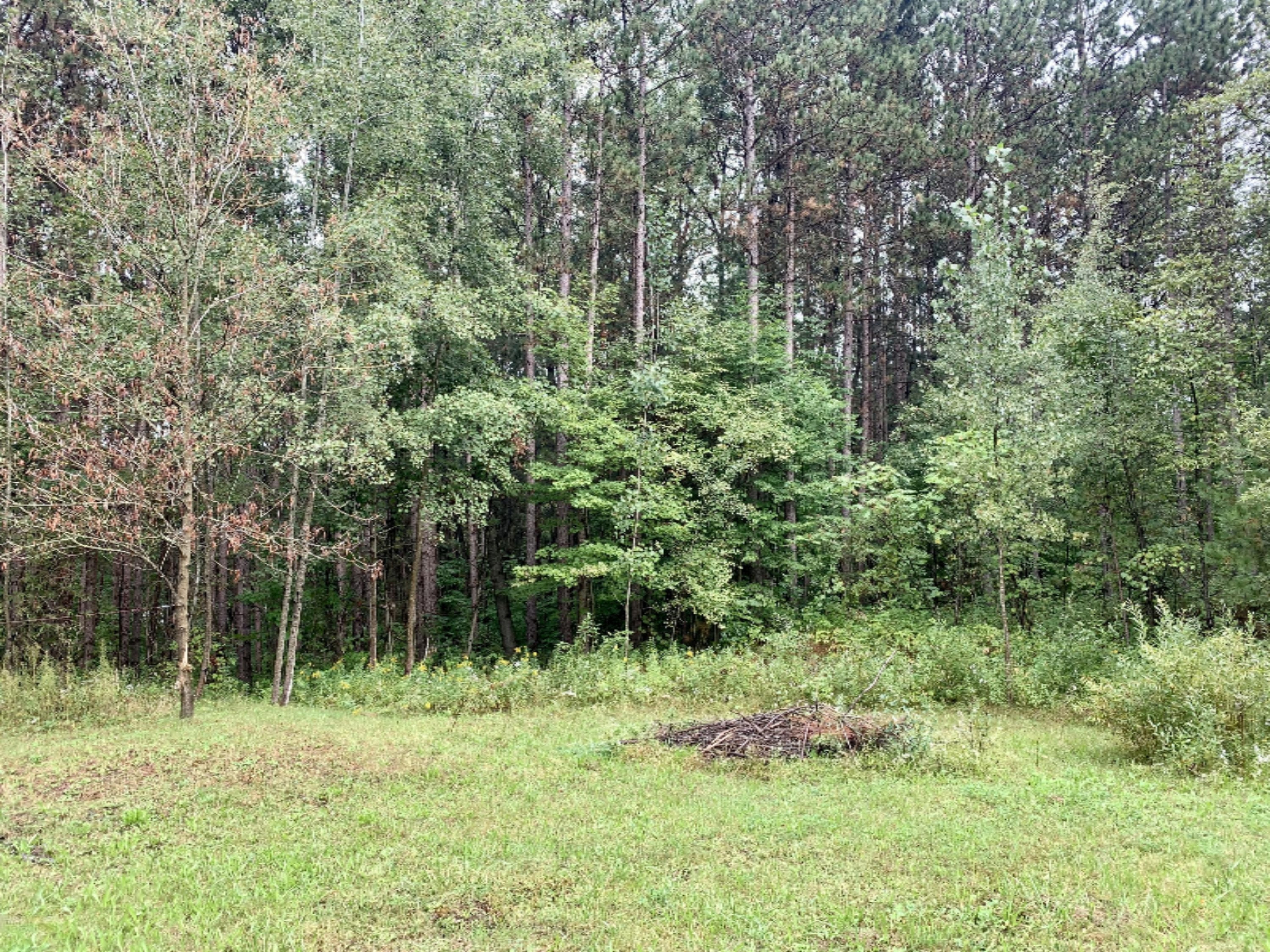 21548 9 Mile Road Reed City, MI 49677 - Photo 19 of 20 IMG_1037