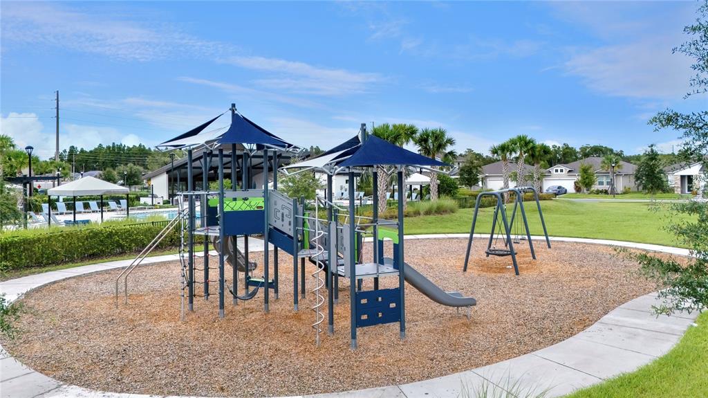 19431 Monarch Wind Way Lutz, FL 33558 - Photo 16 of 17 a view of a park with slide