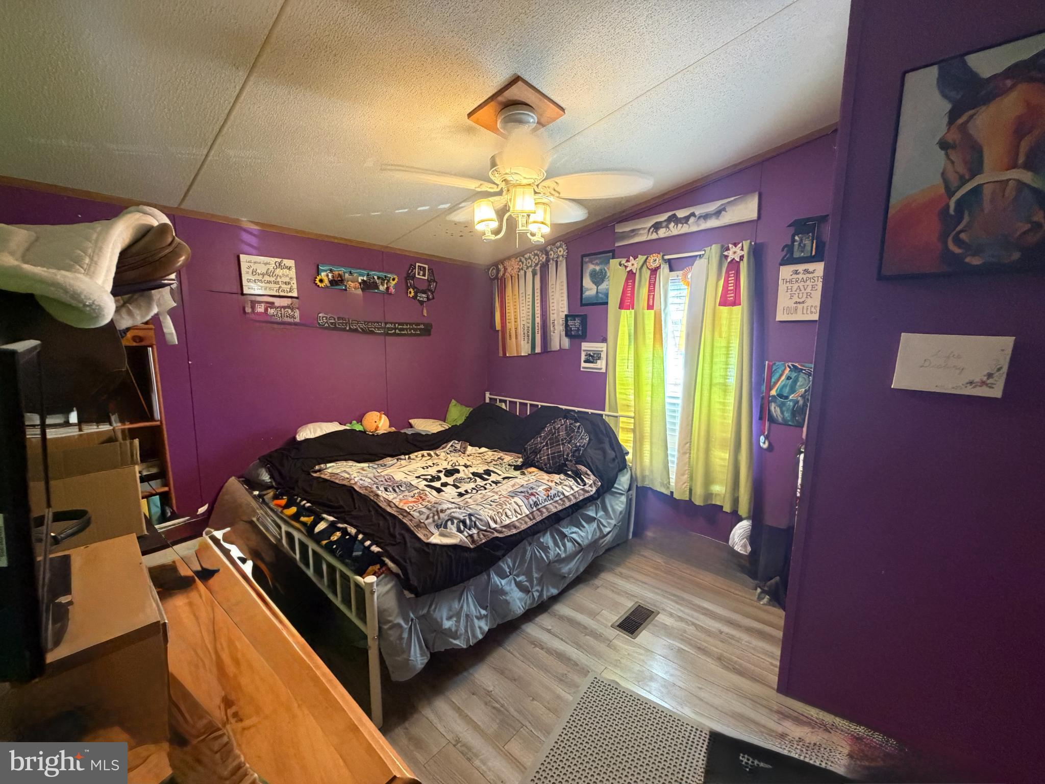 444 Long Branch Road Seaford, DE 19973 - Photo 13 of 22 Vibrant bedroom with playful decor.