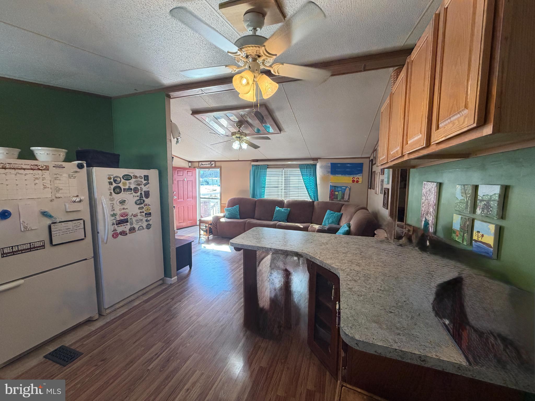 444 Long Branch Road Seaford, DE 19973 - Photo 9 of 22 Cozy kitchen with vibrant green accents.