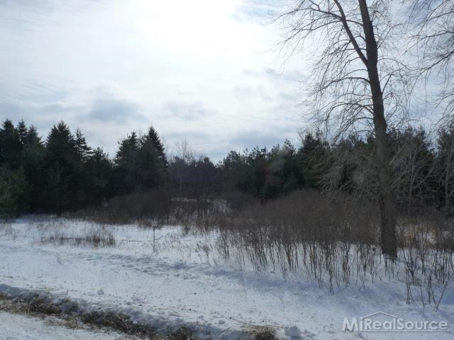 0 West Wellman Line Road Peck, MI 48466 - Photo 2 of 4