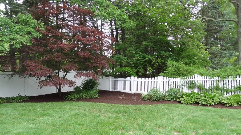 11 Greenleaf Road Natick, MA 01760 - Photo 4 of 17 Gallery Image 4