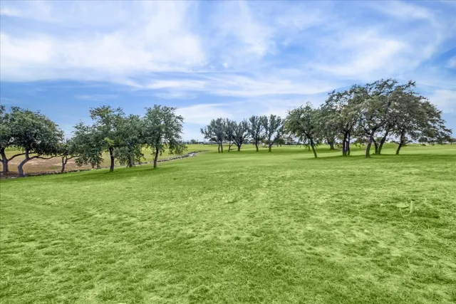 a view of a green field with trees in the background