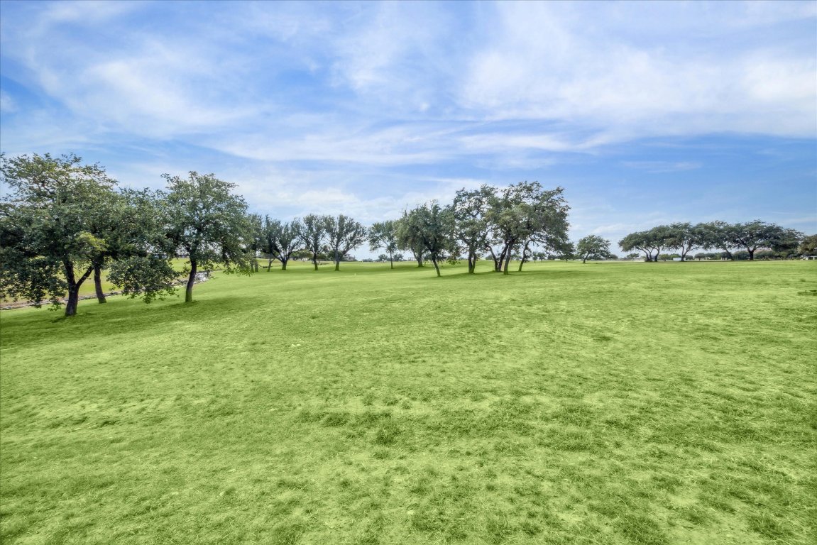25409 Cliff Crossing Spicewood, TX 78669 - Photo 3 of 11 a view of a green field with trees in the background