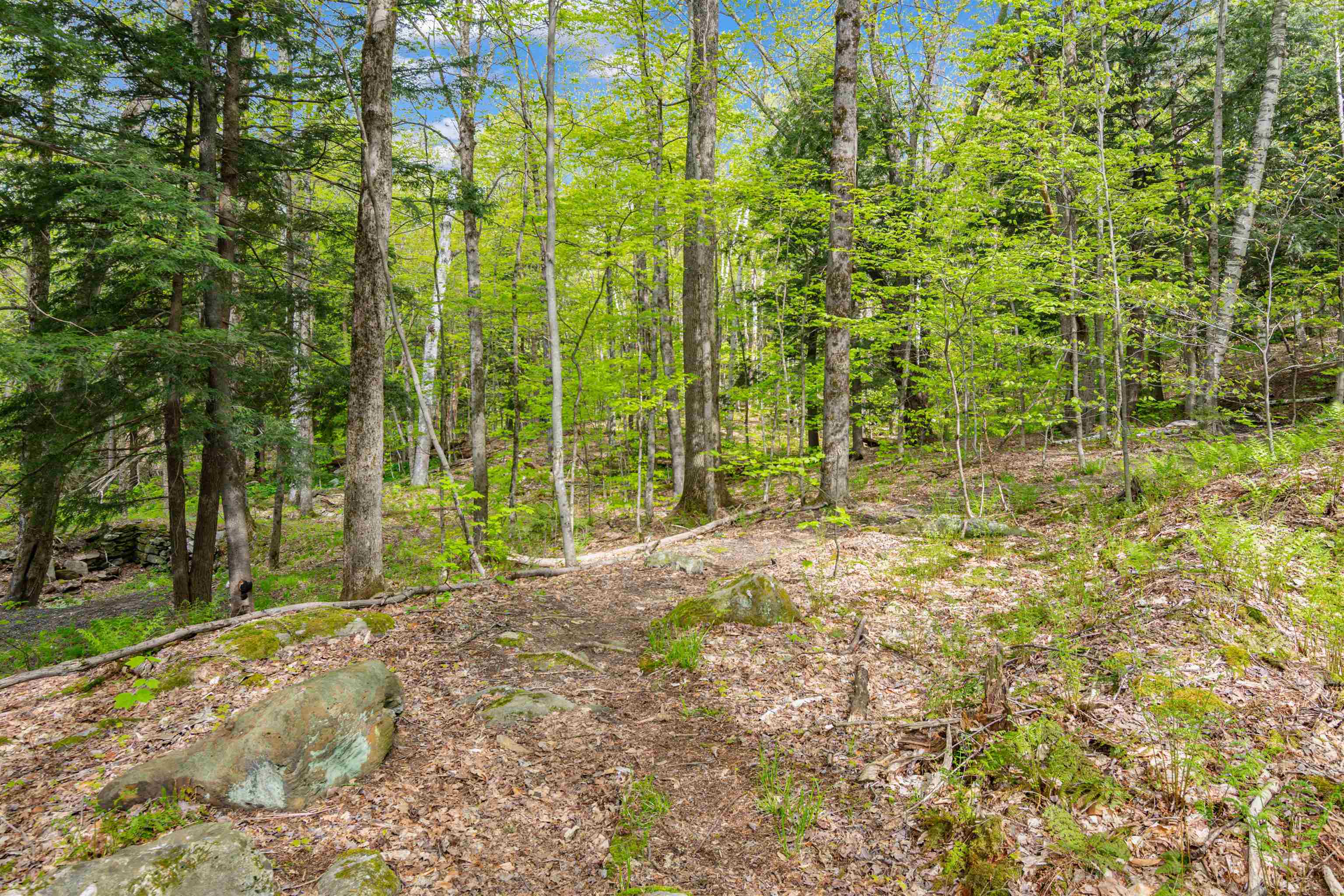 0 Phen Basin Road Waitsfield, VT 05673 - Photo 9 of 10
