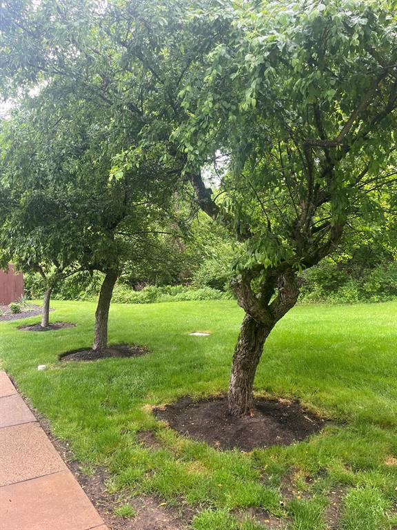 1306 Kenzie Road Robinson Township, PA 15205 - Photo 27 of 28