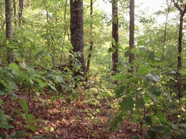 641 Bethel Rdg Road McKee, KY 40447 - Photo 1 of 1 Photo 1
