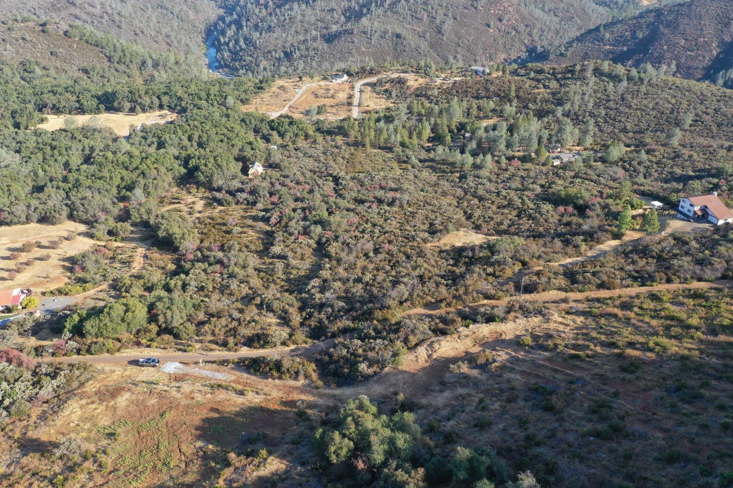 a view of a yard with a tree