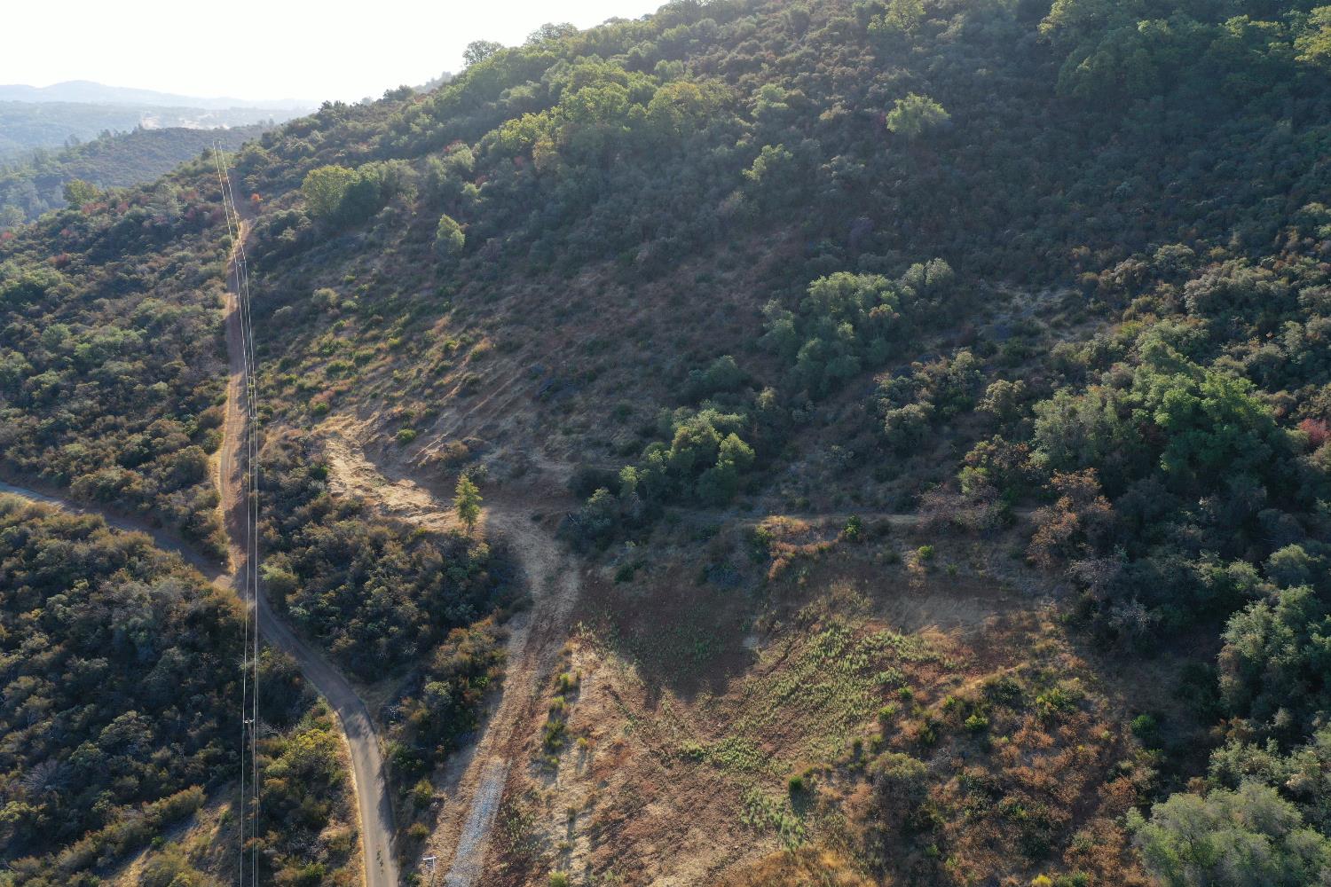 645 Kanaka Valley Road Rescue, CA 95672 - Photo 11 of 47 a view of a forest with a tree
