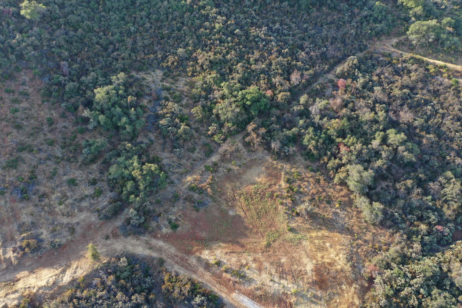 645 Kanaka Valley Road Rescue, CA 95672 - Photo 12 of 47 a view of a yard with a tree