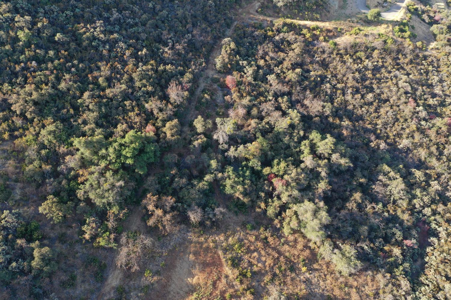 645 Kanaka Valley Road Rescue, CA 95672 - Photo 14 of 47 a view of a yard