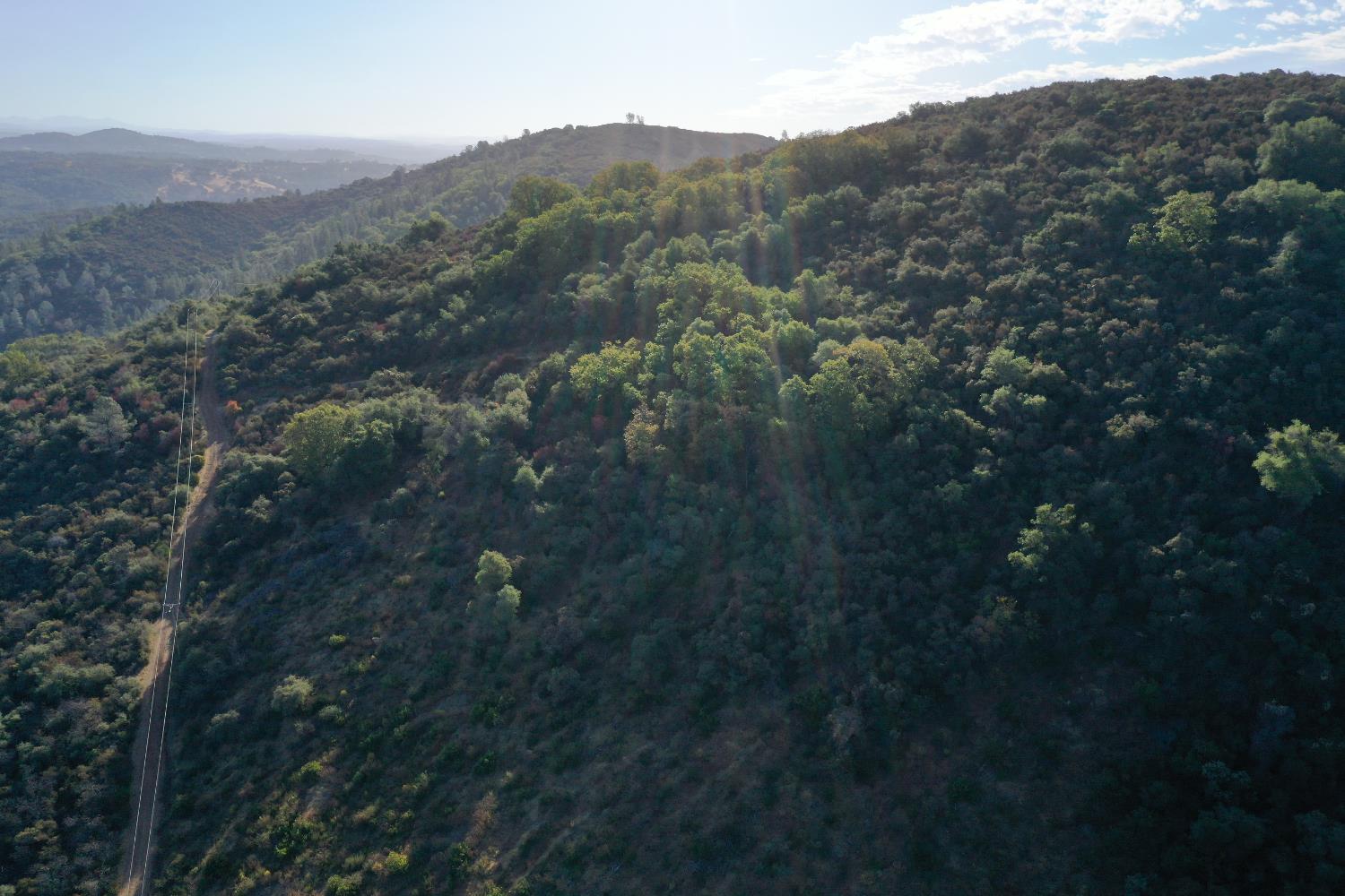 645 Kanaka Valley Road Rescue, CA 95672 - Photo 15 of 47 a view of a mountain in the distance in a field