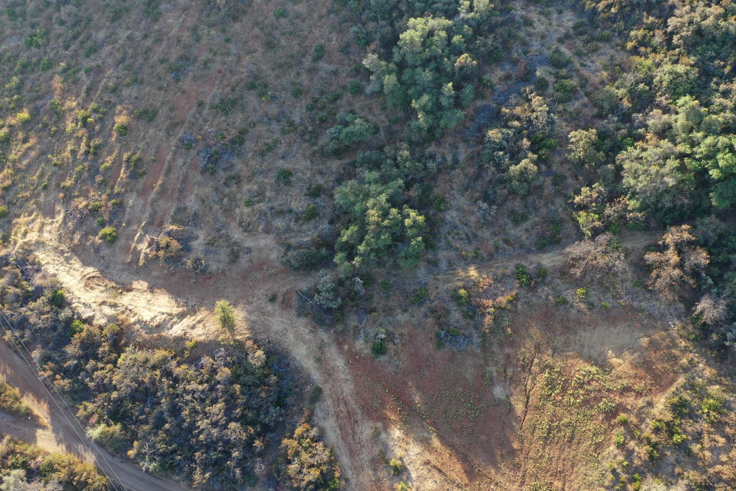 645 Kanaka Valley Road Rescue, CA 95672 - Photo 16 of 47 a backyard of a house