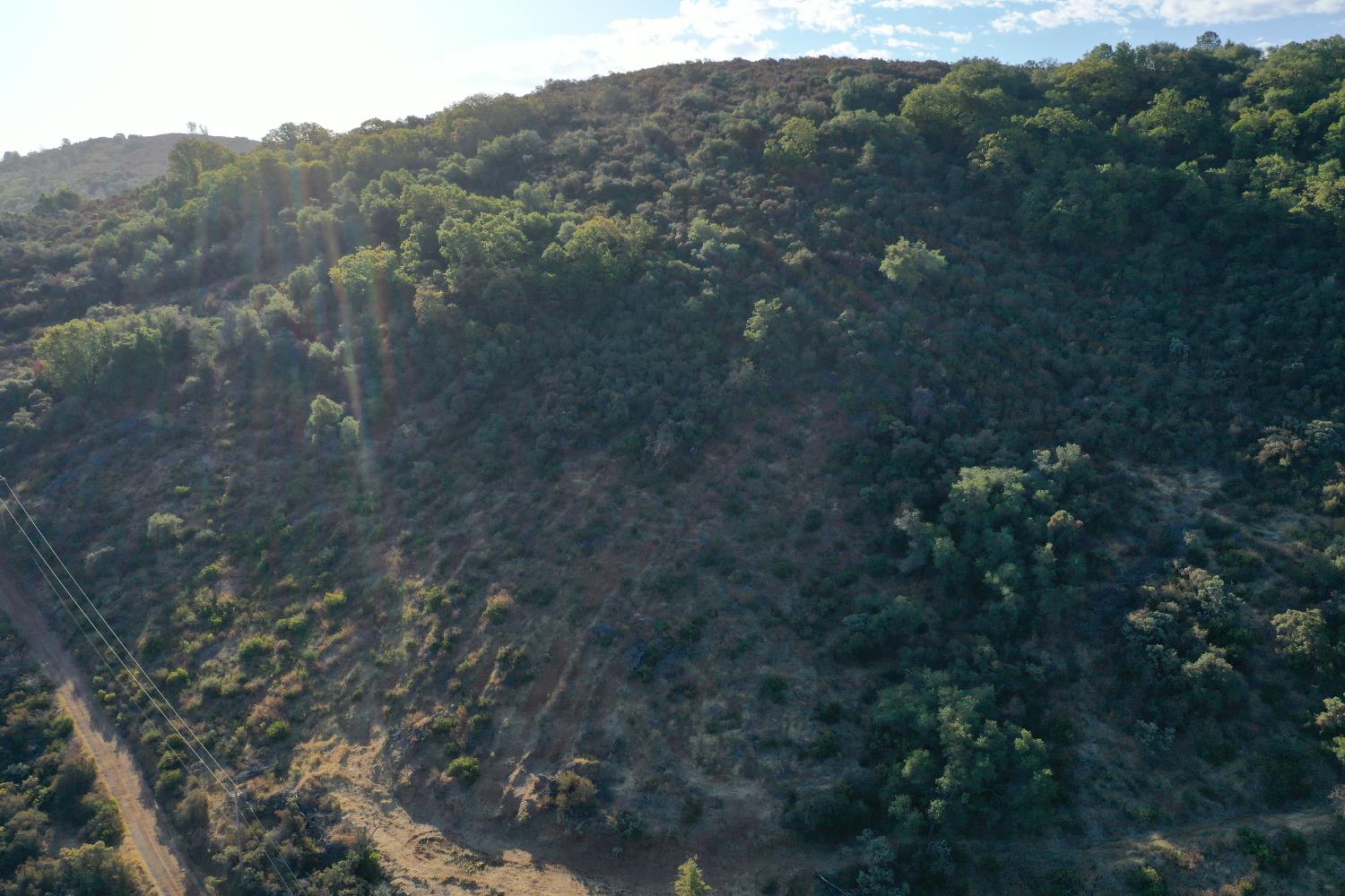 645 Kanaka Valley Road Rescue, CA 95672 - Photo 19 of 47 a view of a forest with a tree