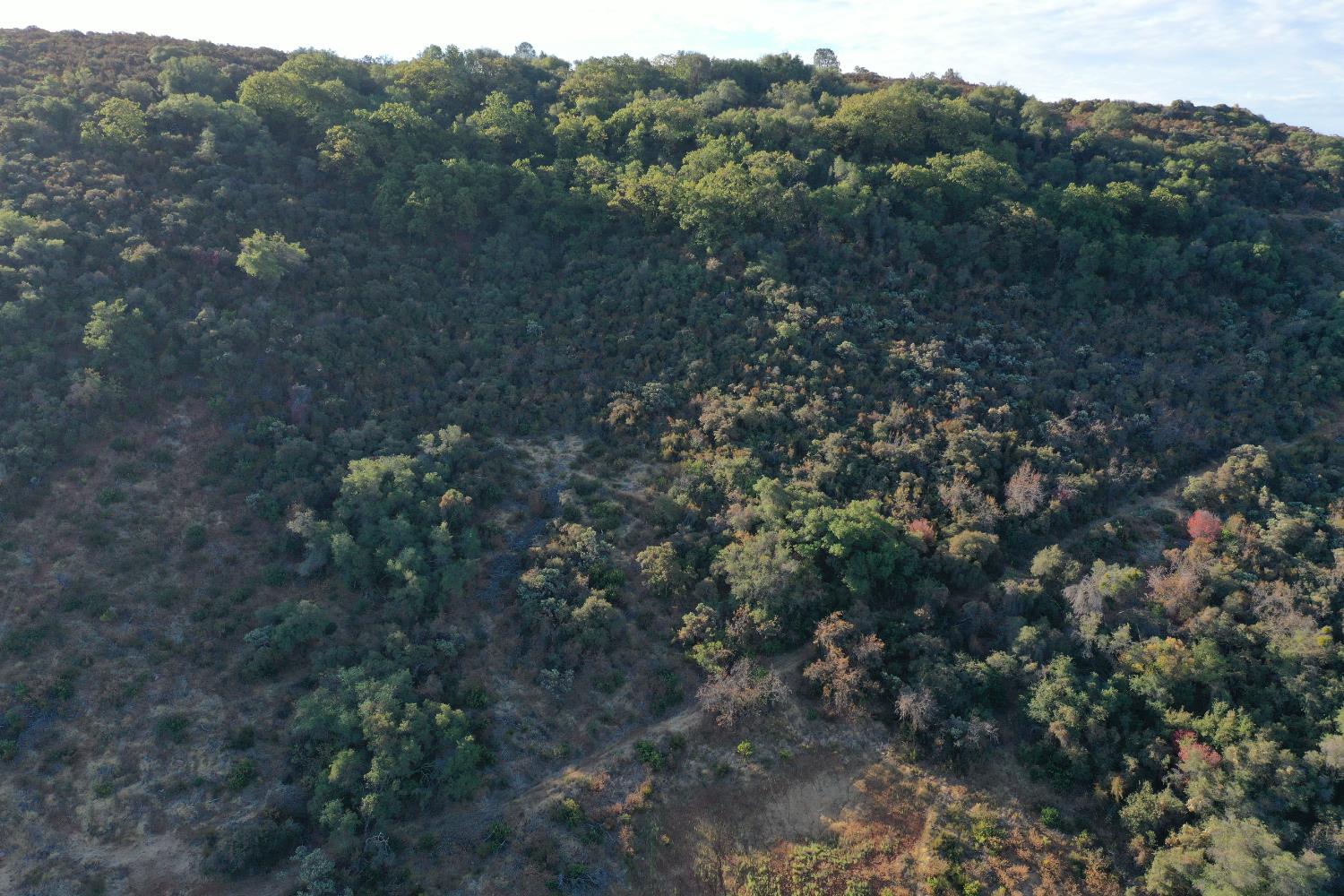 645 Kanaka Valley Road Rescue, CA 95672 - Photo 20 of 47 a view of a city with lush green forest