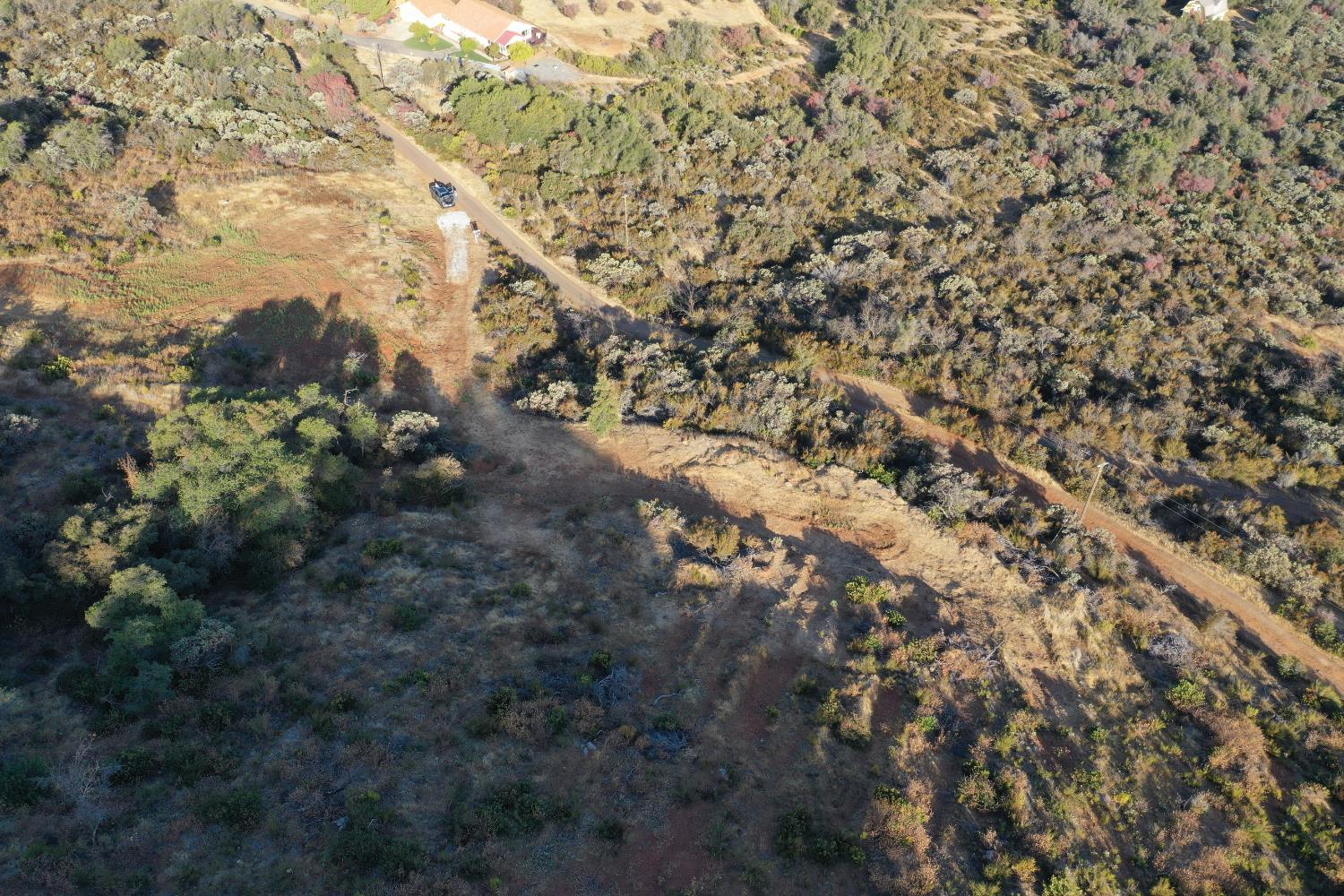 645 Kanaka Valley Road Rescue, CA 95672 - Photo 2 of 47 a view of a forest with a tree