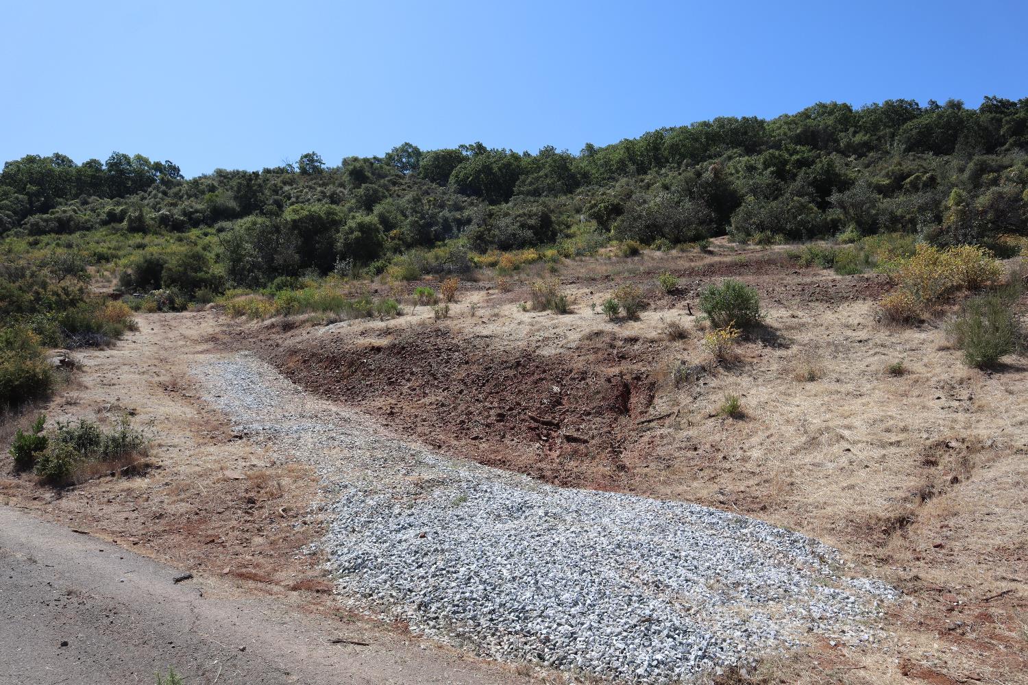 645 Kanaka Valley Road Rescue, CA 95672 - Photo 23 of 47 a view of a dry yard with trees in the background