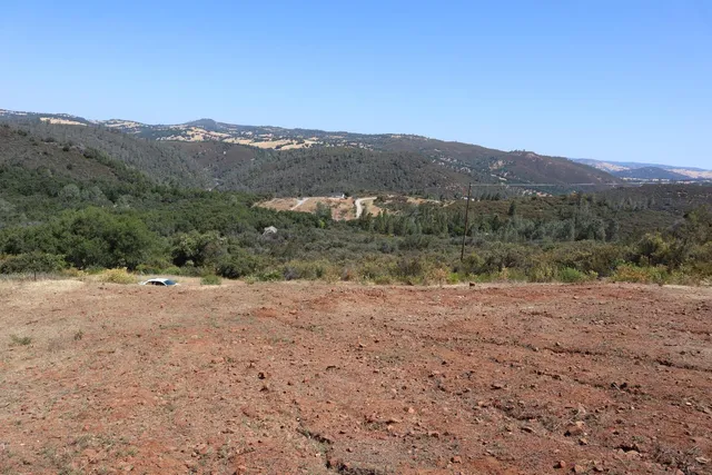 a view of a dry yard with trees in the background