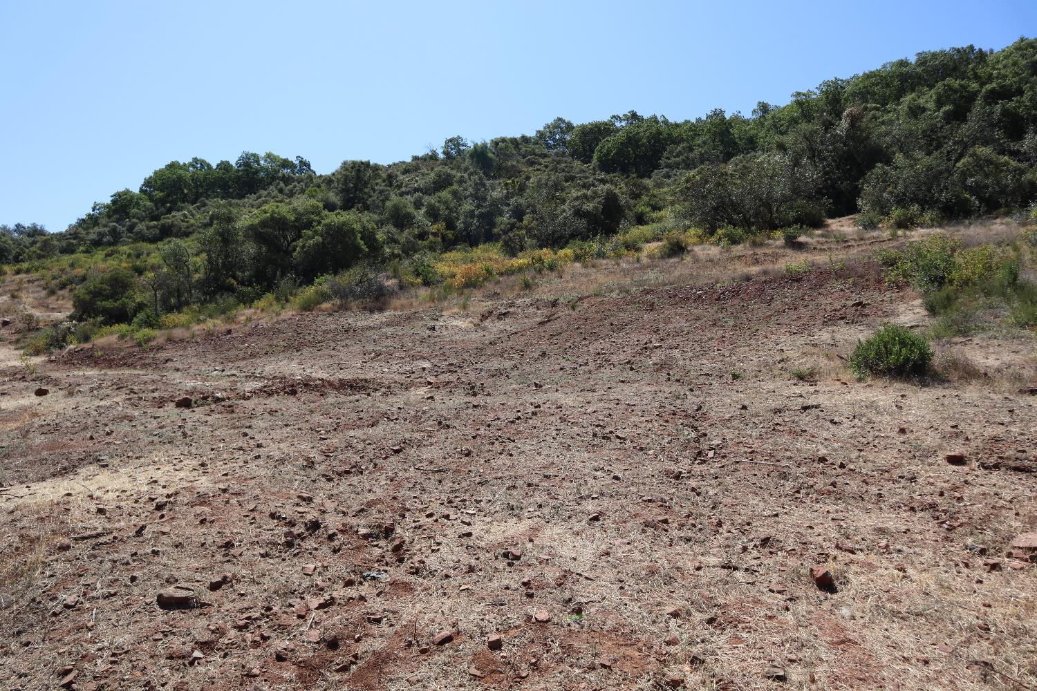 645 Kanaka Valley Road Rescue, CA 95672 - Photo 27 of 47 a view of a dry yard with trees in the background