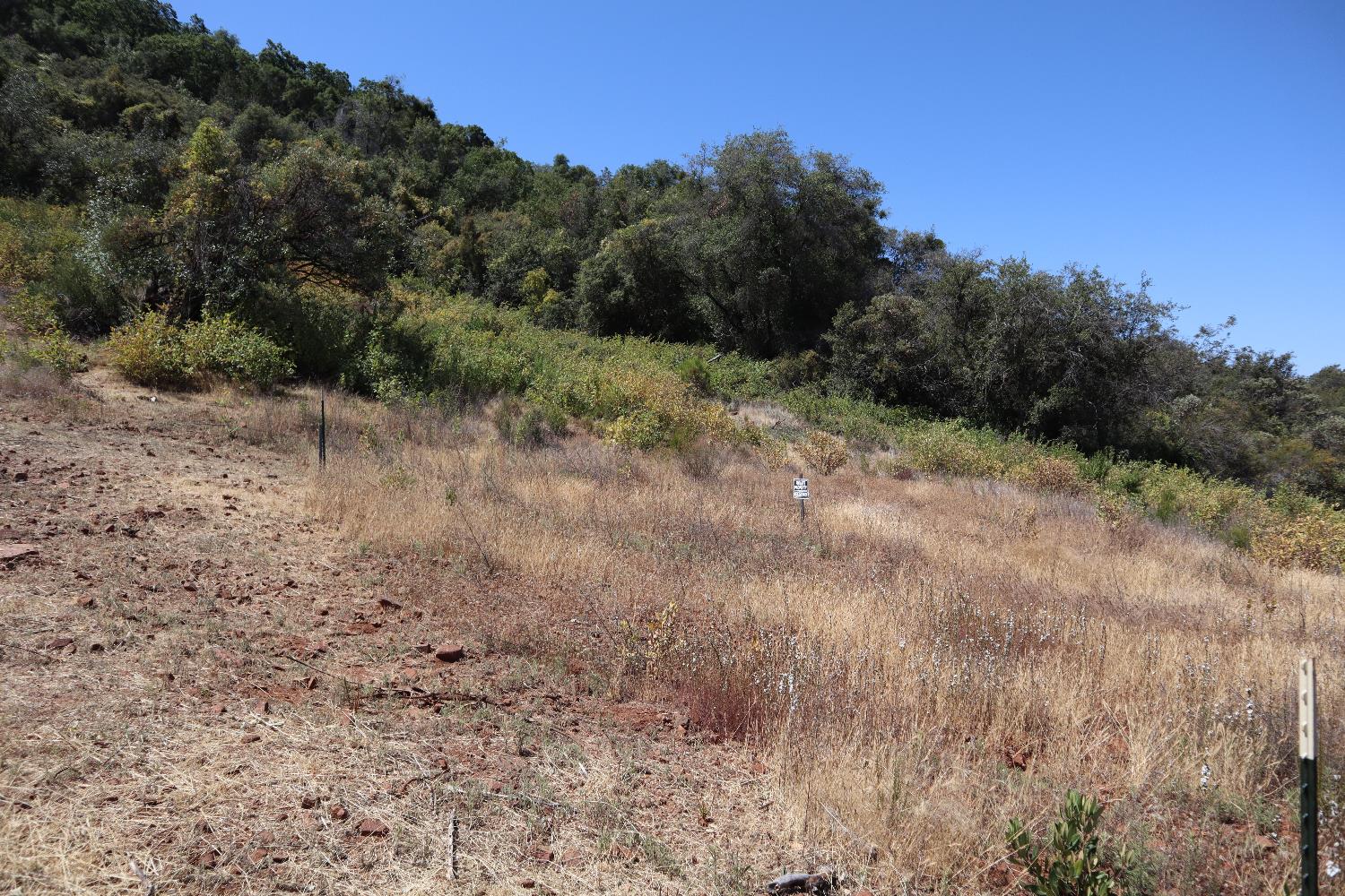 645 Kanaka Valley Road Rescue, CA 95672 - Photo 28 of 47 a view of a yard with a tree