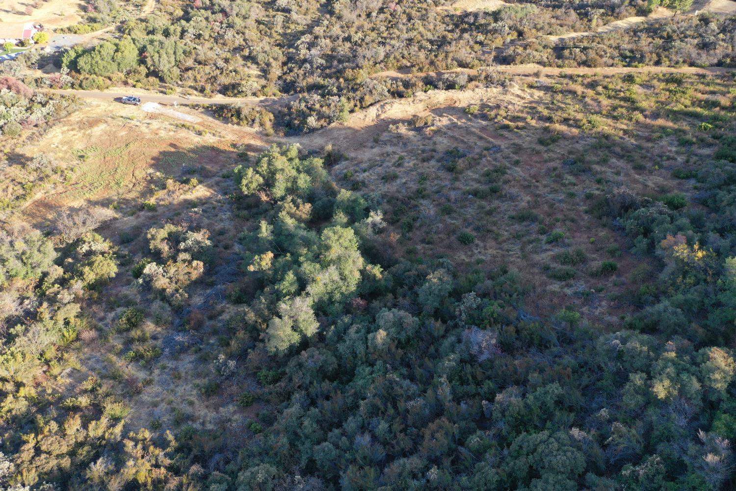 645 Kanaka Valley Road Rescue, CA 95672 - Photo 3 of 47 a view of a forest with a tree