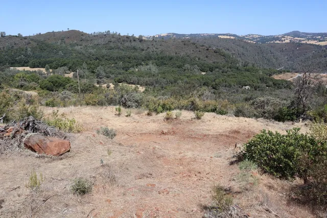a view of a dry field with trees in the background