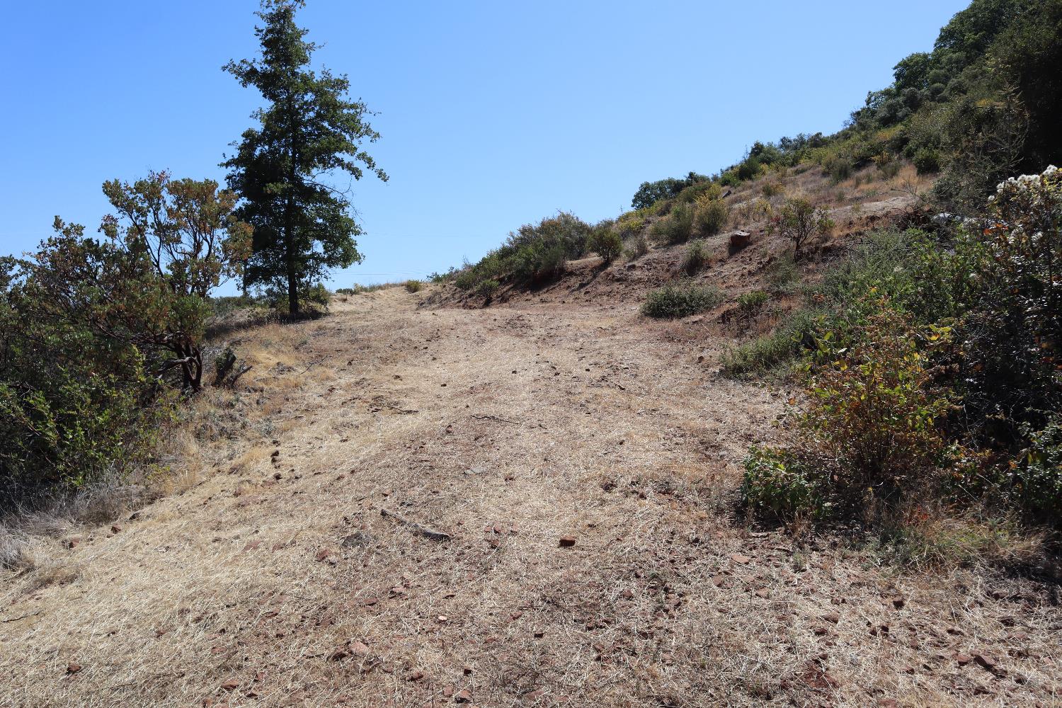 645 Kanaka Valley Road Rescue, CA 95672 - Photo 42 of 47 a view of a dry yard with trees