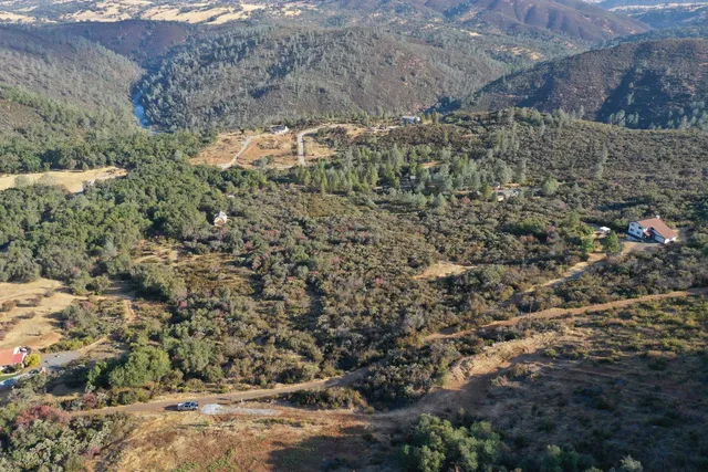 a view of a tree with a yard