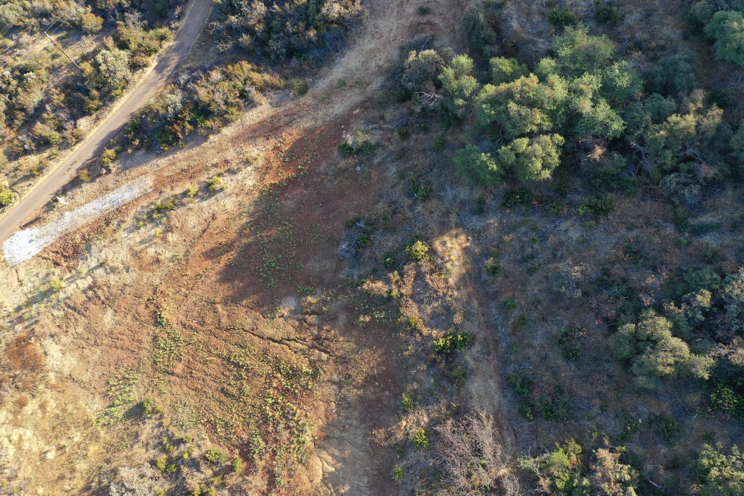 645 Kanaka Valley Road Rescue, CA 95672 - Photo 7 of 47 a view of a tree with a yard