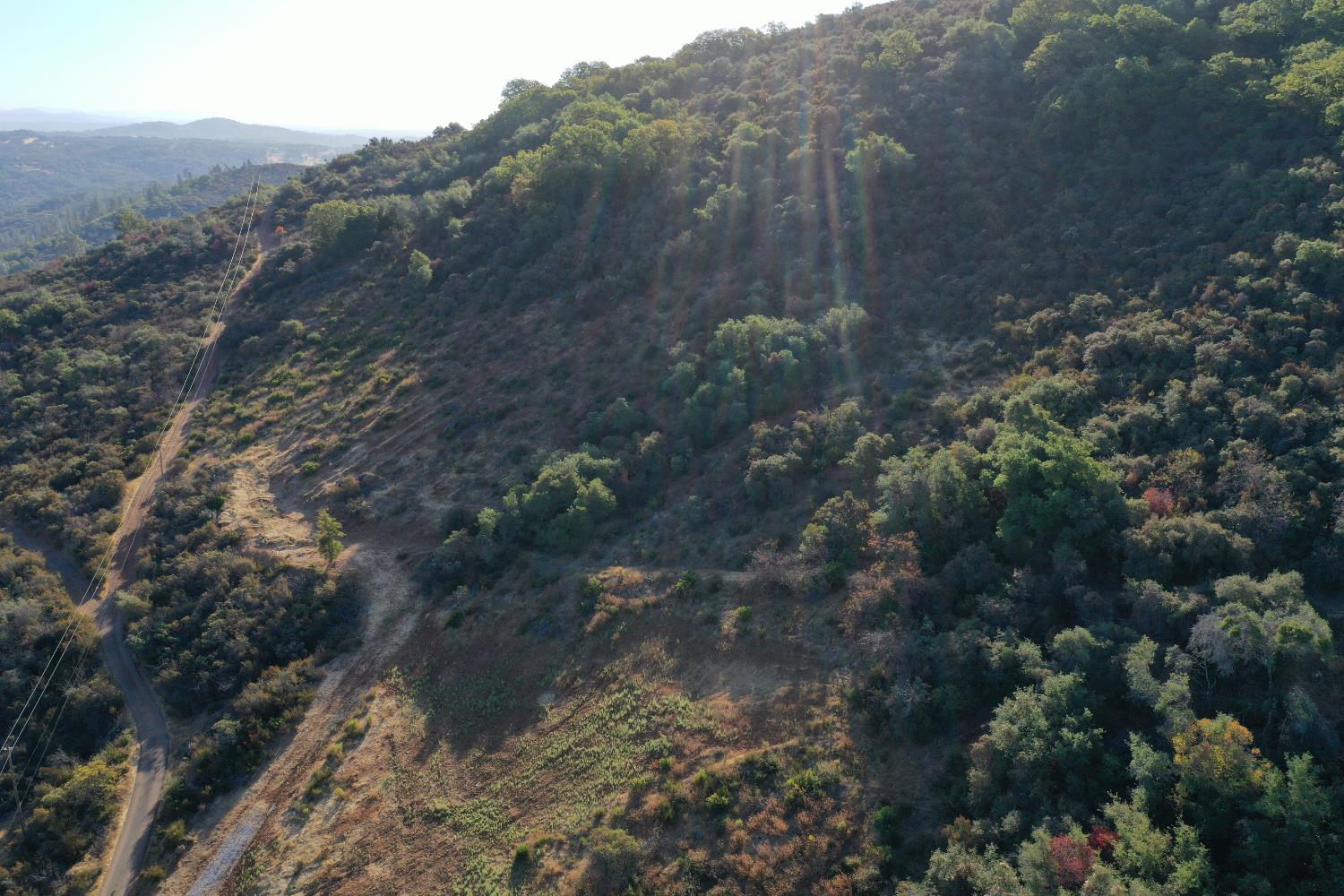 645 Kanaka Valley Road Rescue, CA 95672 - Photo 10 of 47 a view of a forest with a forest