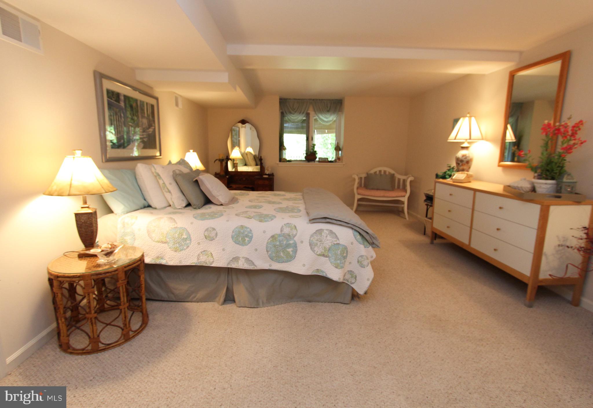 312 Julip Run Wayne, PA 19087 - Photo 46 of 60 au pair suite/in-law suite