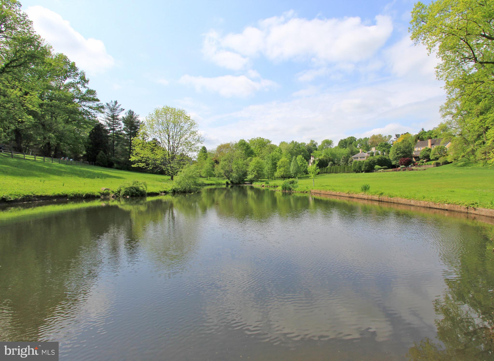 312 Julip Run Wayne, PA 19087 - Photo 52 of 60 Ravenscliff community ponds and landscape views