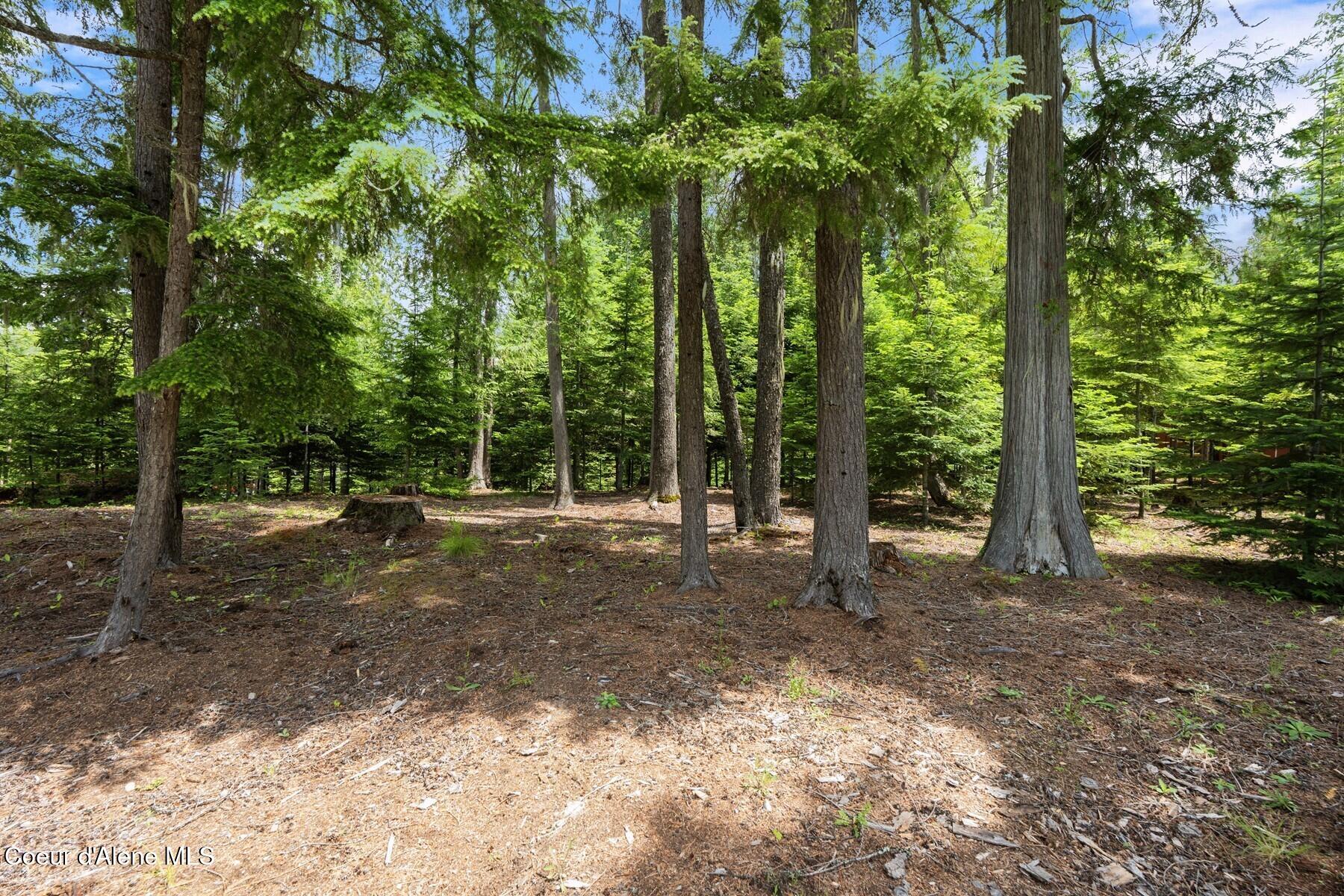 Nna Bruin Road Nordman, ID 83848 - Photo 13 of 44 86560208
