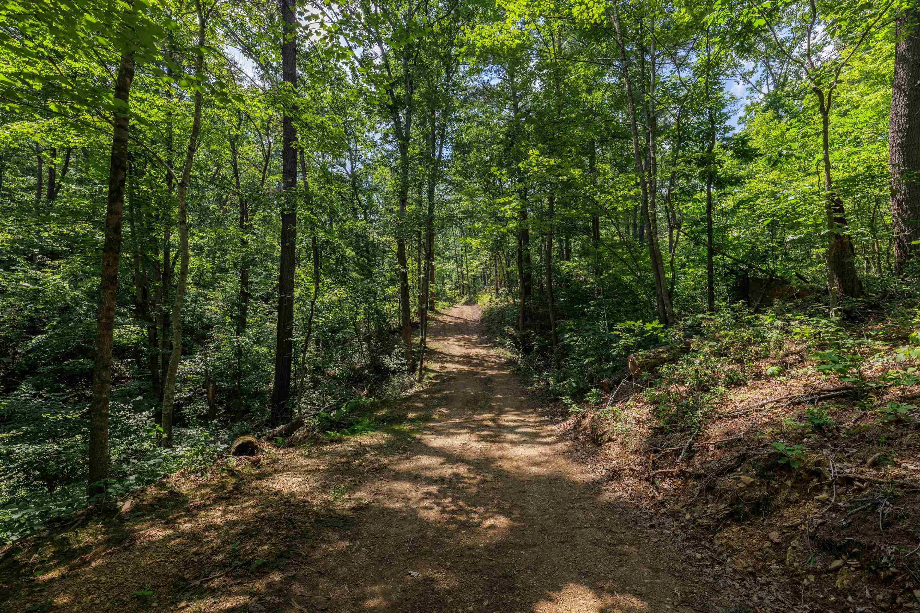 Tbd Stribling Springs Road Mount Solon, VA 22843 - Photo 11 of 40