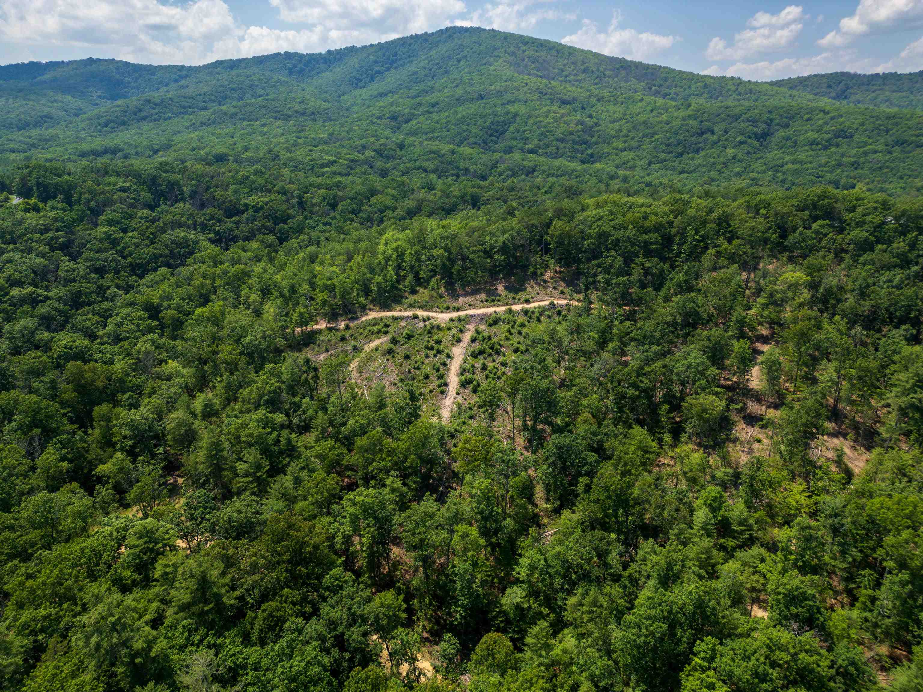 Tbd Stribling Springs Road Mount Solon, VA 22843 - Photo 14 of 40