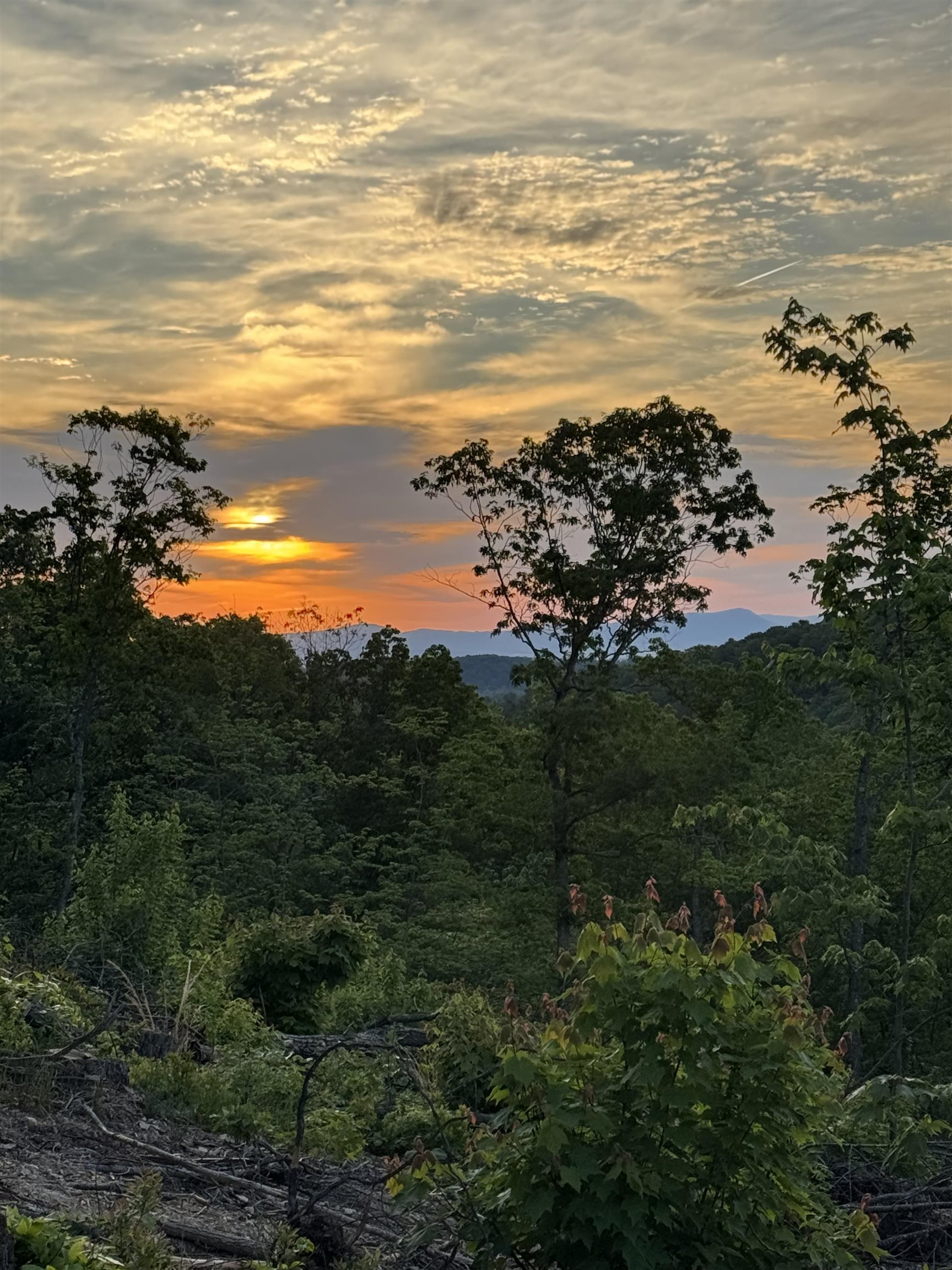 Tbd Stribling Springs Road Mount Solon, VA 22843 - Photo 20 of 40