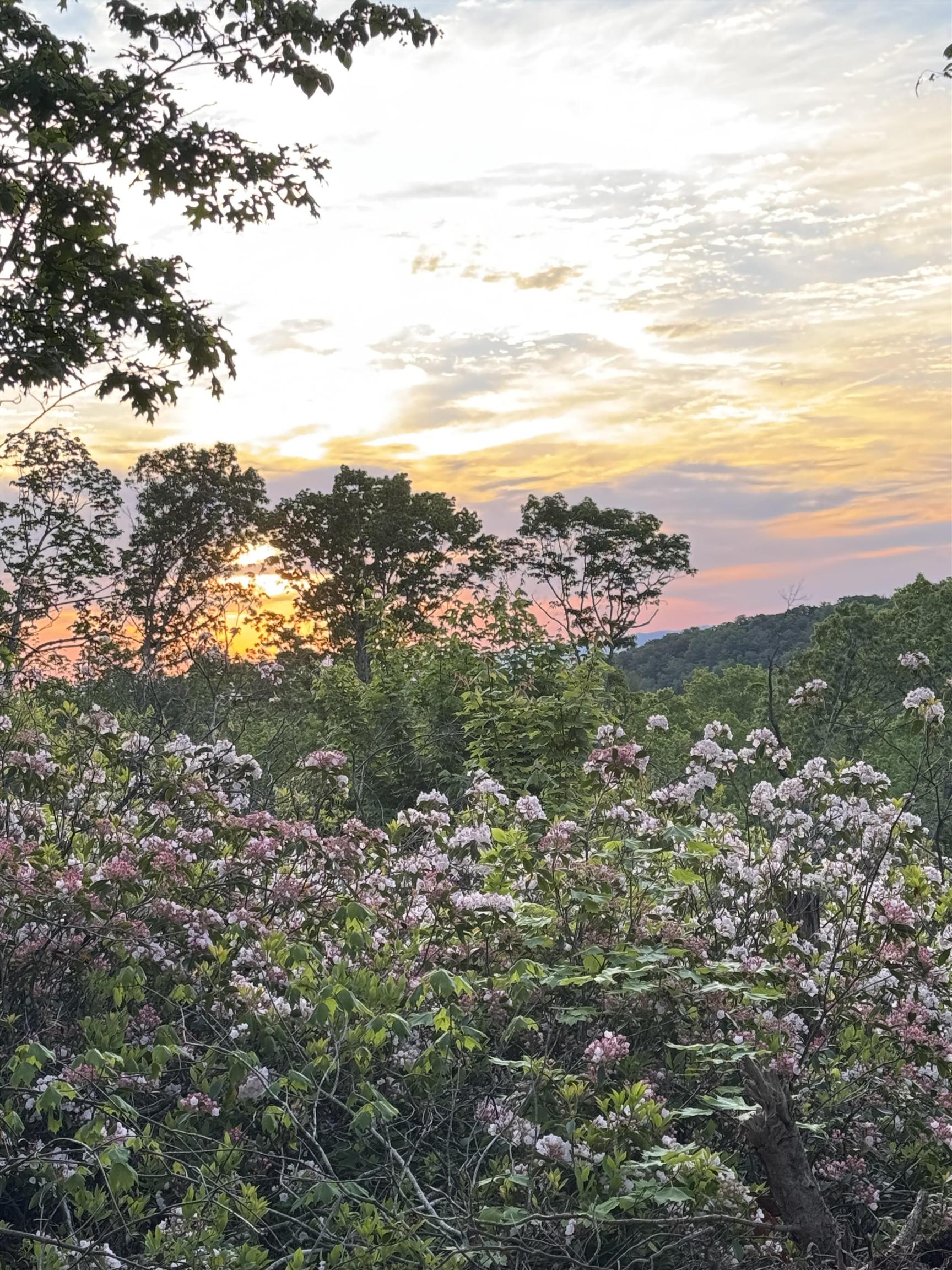 Tbd Stribling Springs Road Mount Solon, VA 22843 - Photo 21 of 40