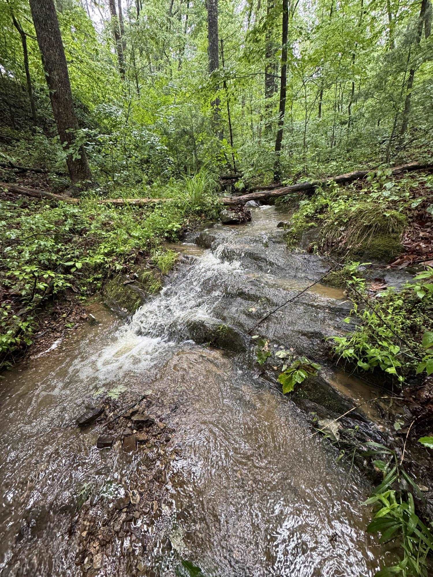 Tbd Stribling Springs Road Mount Solon, VA 22843 - Photo 25 of 40