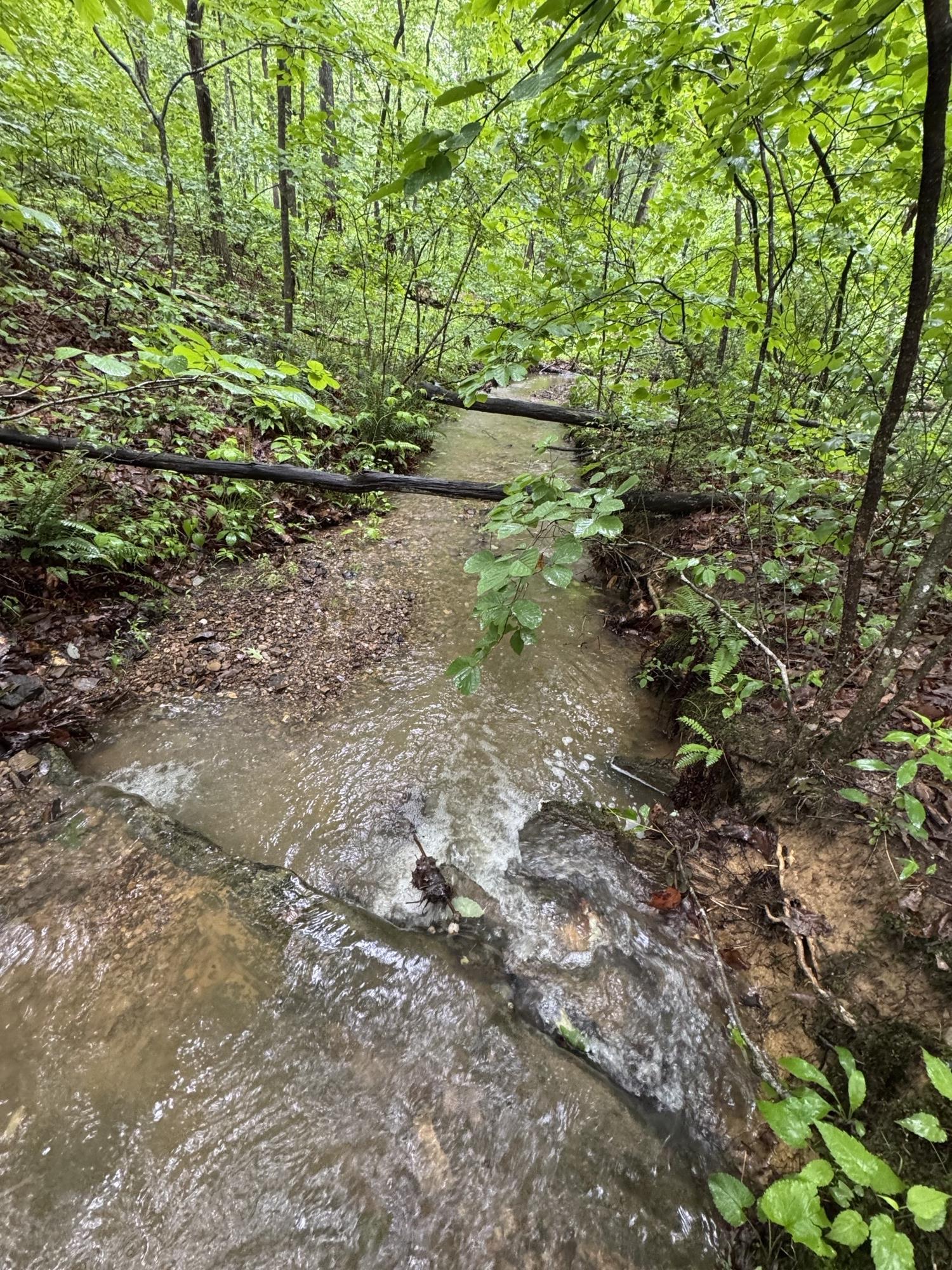 Tbd Stribling Springs Road Mount Solon, VA 22843 - Photo 26 of 40
