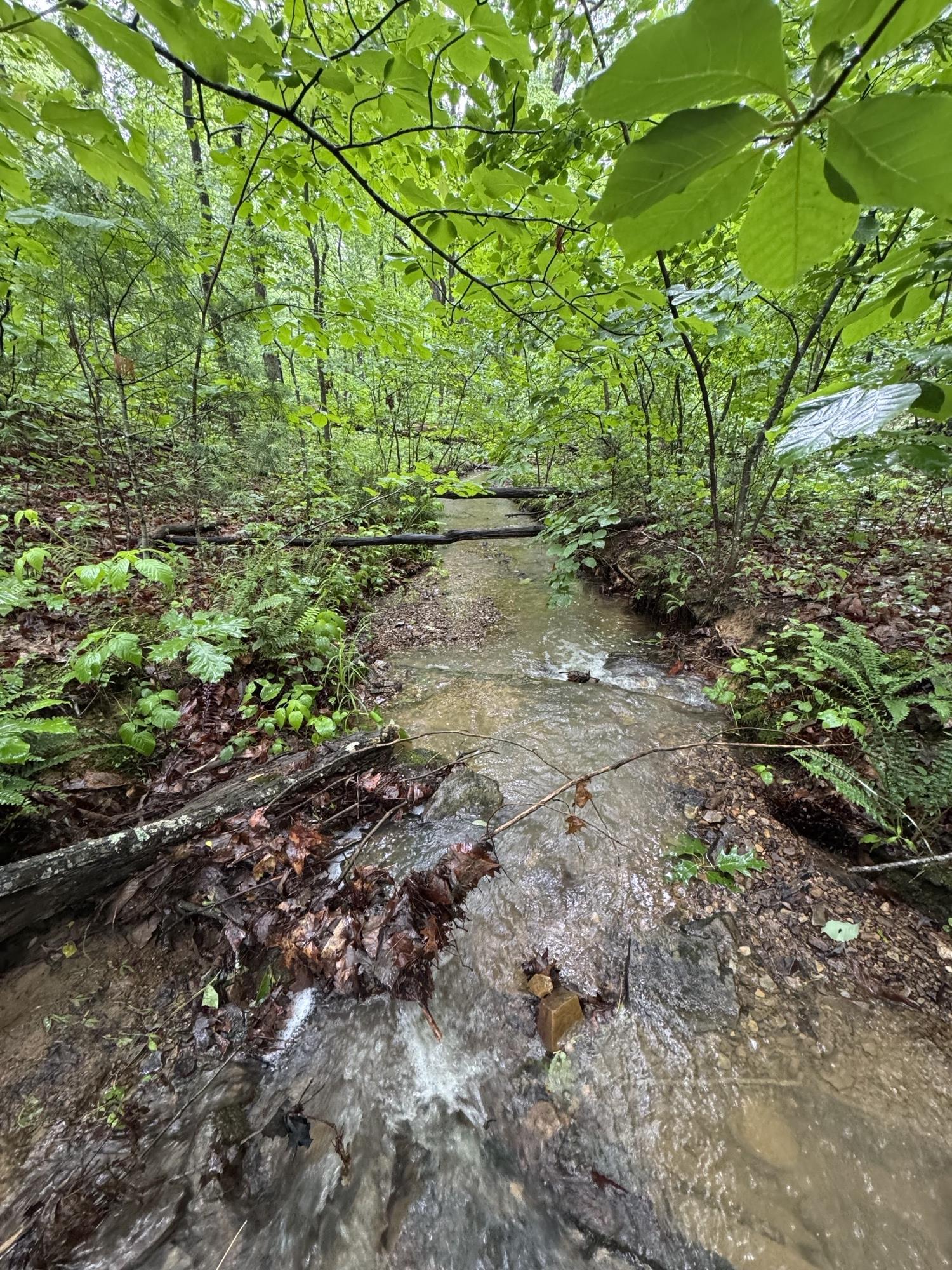 Tbd Stribling Springs Road Mount Solon, VA 22843 - Photo 27 of 40