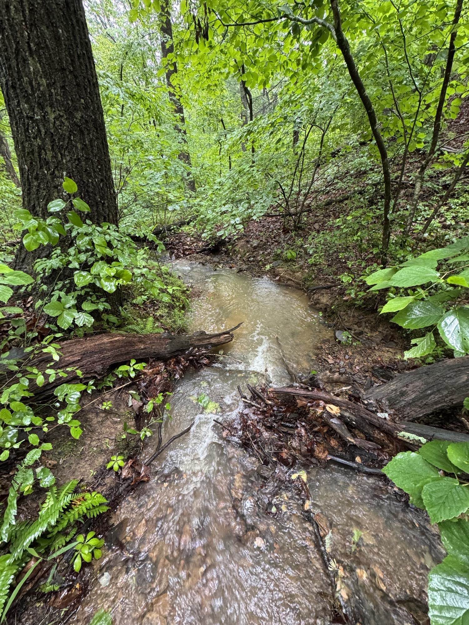 Tbd Stribling Springs Road Mount Solon, VA 22843 - Photo 28 of 40