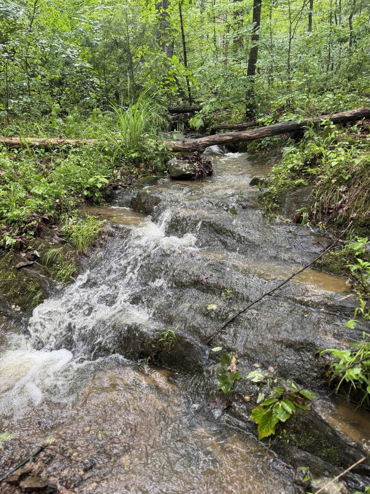 Tbd Stribling Springs Road Mount Solon, VA 22843 - Photo 30 of 40