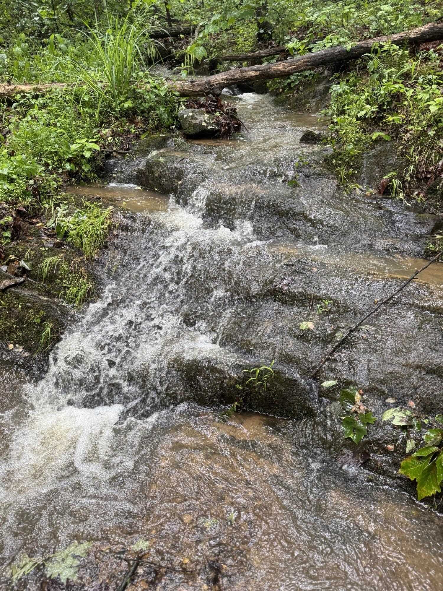 Tbd Stribling Springs Road Mount Solon, VA 22843 - Photo 31 of 40