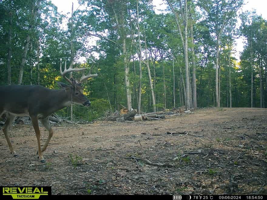 Tbd Stribling Springs Road Mount Solon, VA 22843 - Photo 33 of 40