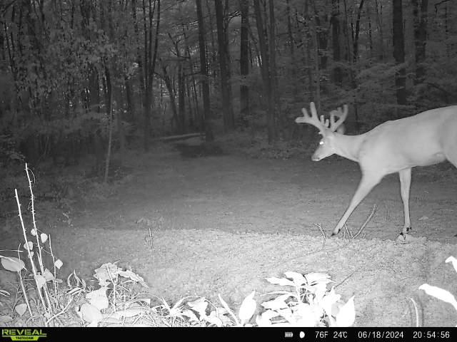 Tbd Stribling Springs Road Mount Solon, VA 22843 - Photo 34 of 40